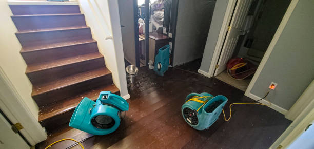 Best 24/7 water damage repair  in Fayetteville, NC