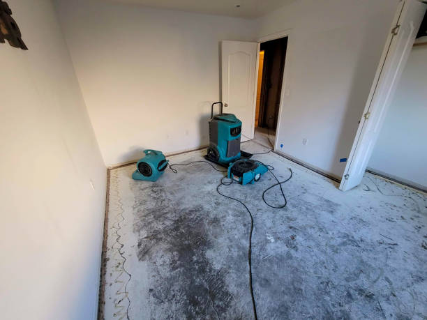 Best Water damage contractors near me  in Fayetteville, NC