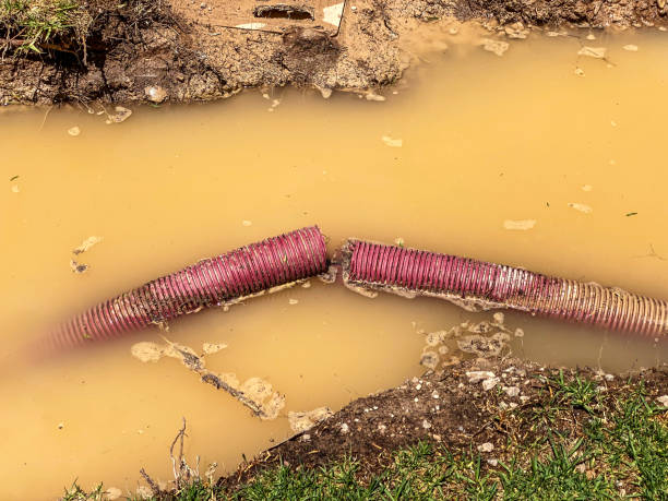 Best Residential water damage restoration  in Fayetteville, NC